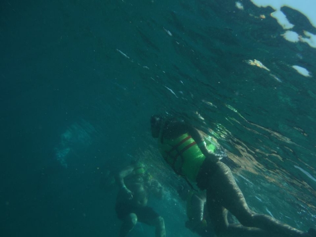snorkel en oaxaca